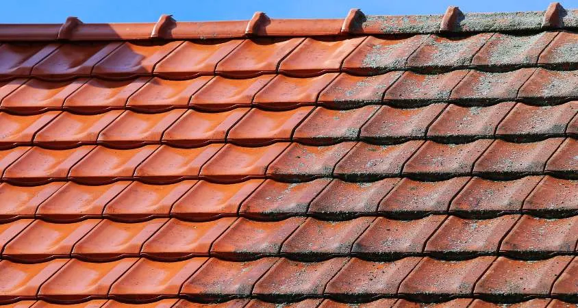 Démoussage de toit dans le Var